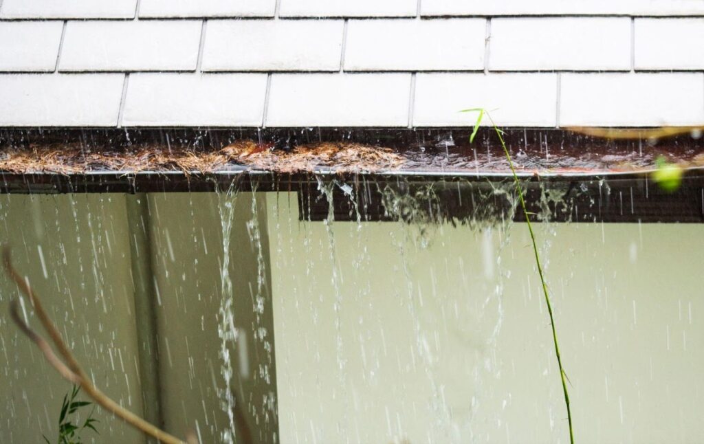 A gutter drips water onto a sloped roof illustrating the flow of rainwater from the gutter system
