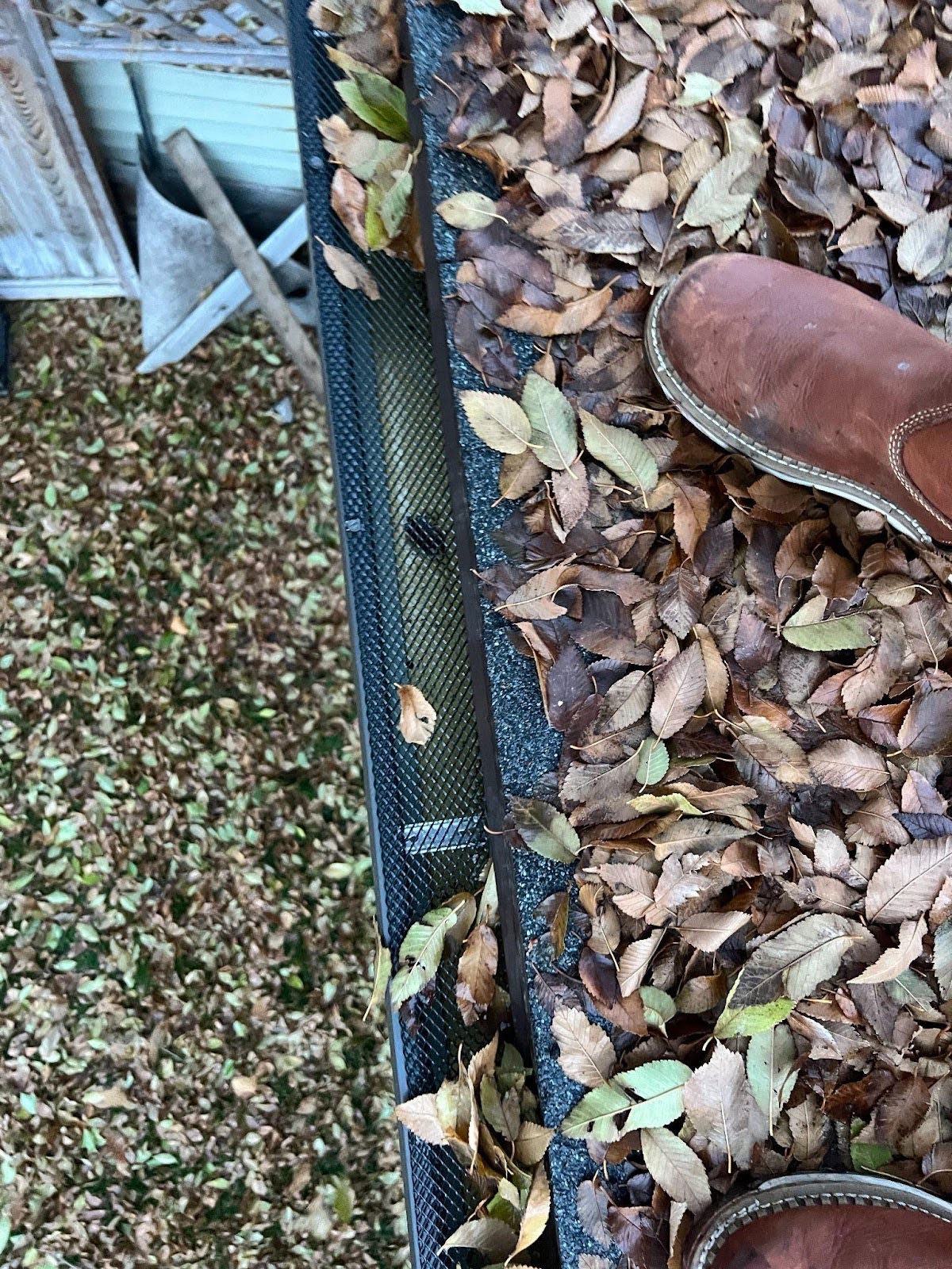 A person stands on a roof covered with leaves overlooking the surroundings