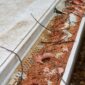 Close up of a gutter filled with dirt and leaves showing debris accumulation and potential blockage 85x85
