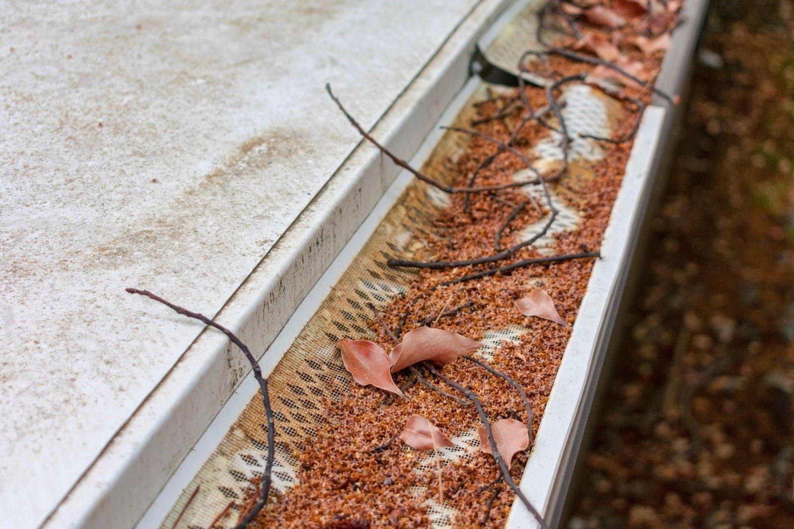 Close-up of a gutter filled with dirt and leaves showing debris accumulation and potential blockage